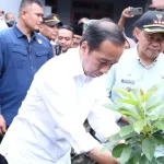 Jokowi Kagumi Produk Alpukat dan Gula Aren