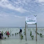 Tujuan Hari Lingkungan Hidup Sedunia