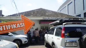 Fakta